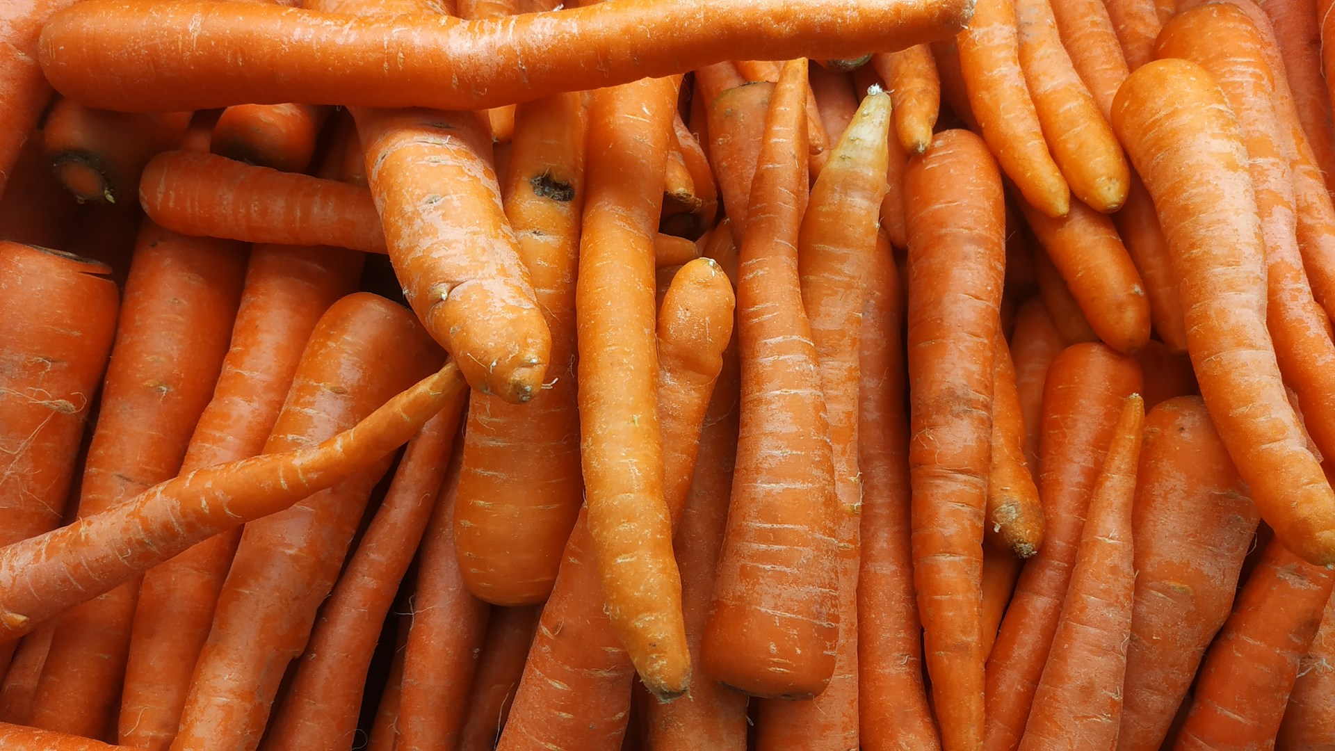 Wortel: Superfood Sederhana dengan Segudang Manfaat Kesehatan